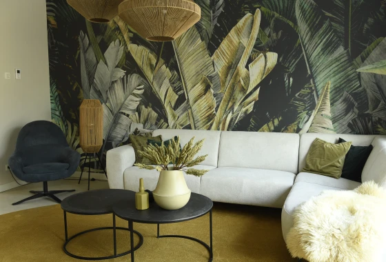 Foto 2 - Inhuizs uit Sleeuwijk