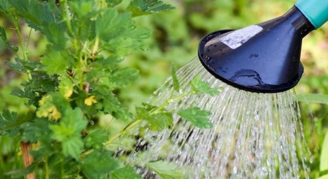 Water besparen doe je zo