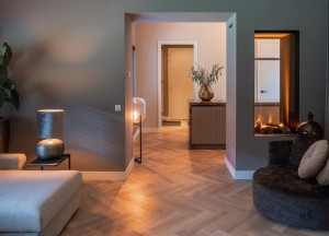 Waterdamphaarden | Elu-Fire