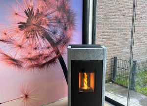 Een moderne RIKA pelletkachel met een vernieuwd jasje - RIKA