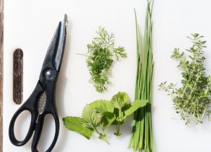 Maak je eigen kruidentuin in 5 stappen