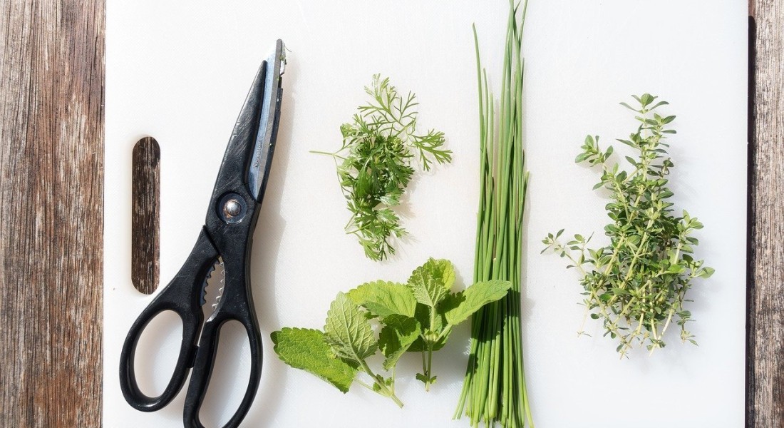 Maak je eigen kruidentuin in 5 stappen