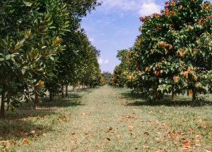 Hoe je een duurzame werkplaats creëert: tips voor eco-vriendelijk klussen en tuinieren