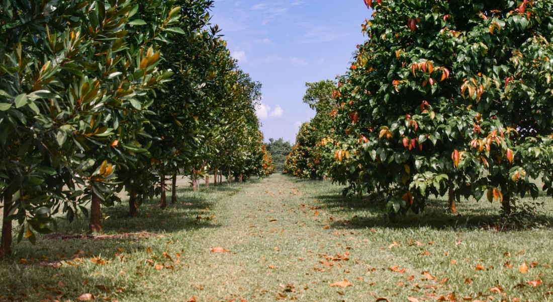 Hoe je een duurzame werkplaats creëert: tips voor eco-vriendelijk klussen en tuinieren