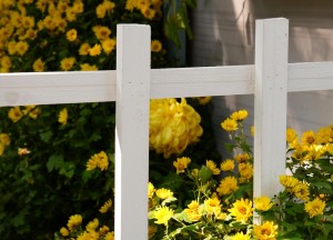 Veilige voortuin met een goede toegangspoort