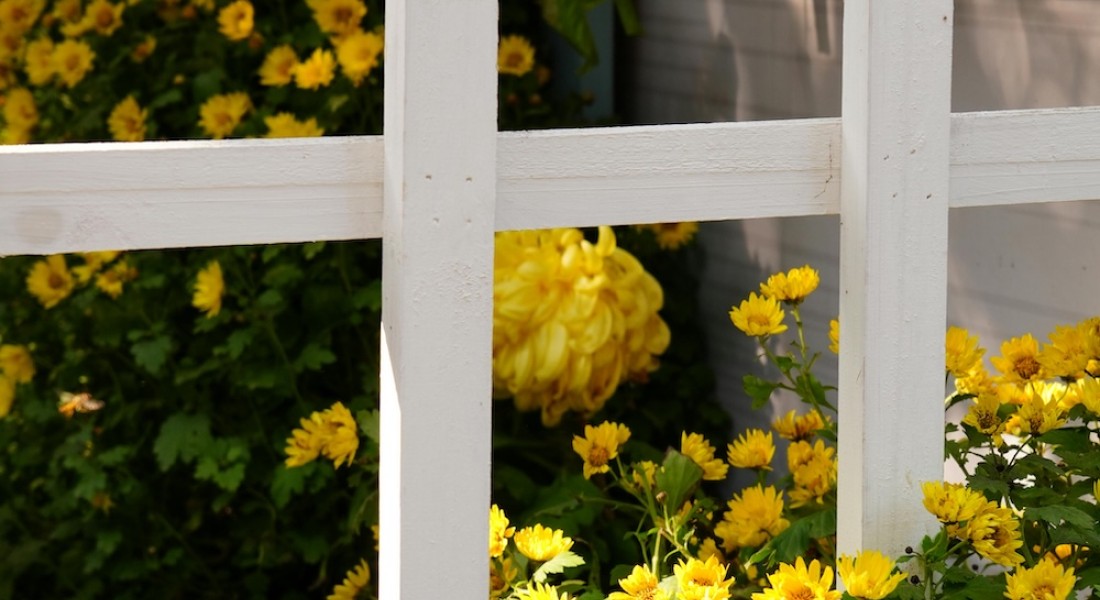 Veilige voortuin met een goede toegangspoort