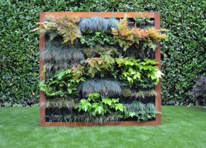 Waarom december het perfecte moment is voor jouw verticale tuin - Zeno Products