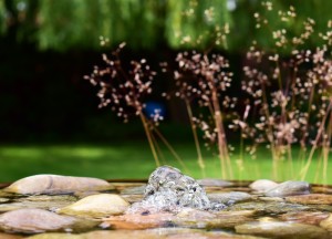 Zo maak je de vijver in jouw tuin gezonder - 