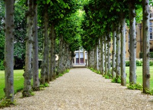 Als grenzen vervagen, ontstaat er ruimte - 