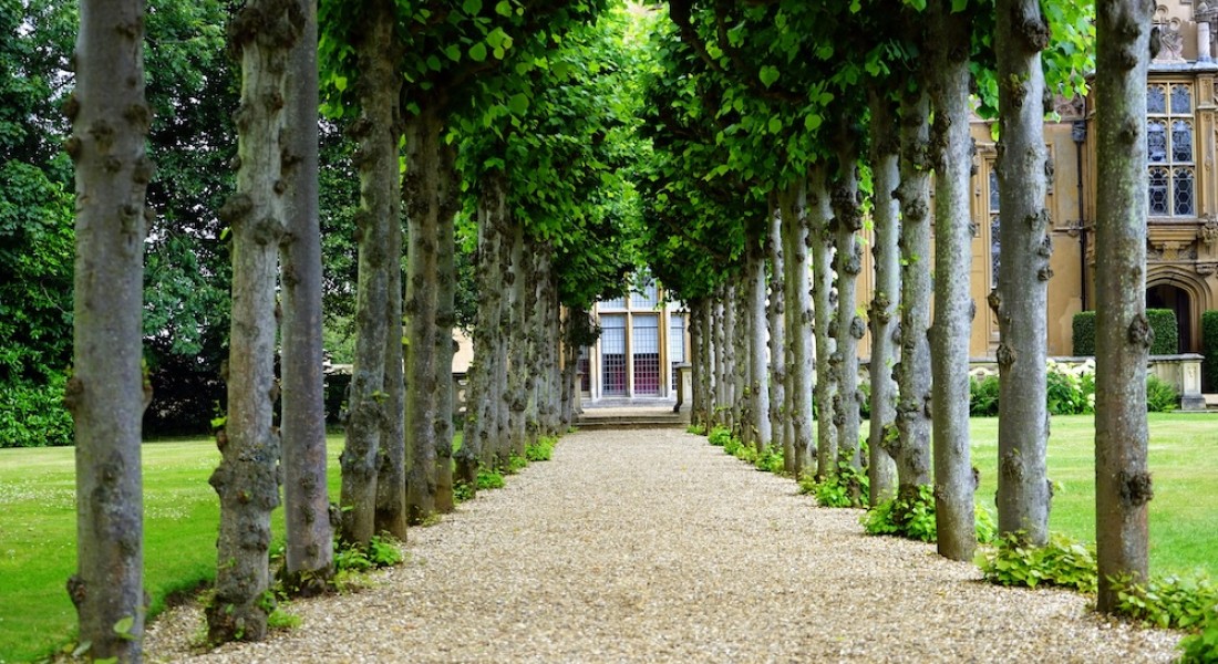 Als grenzen vervagen, ontstaat er ruimte