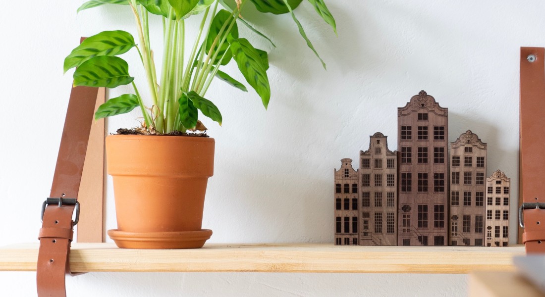 Lifestyle meets nature