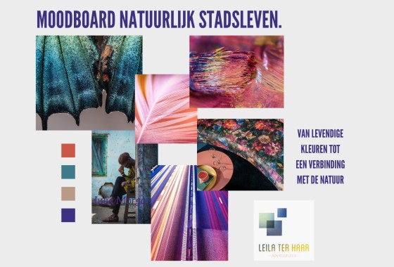 Moodboard Monday: De kracht van kleur