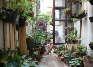 Een tuin met weinig onderhoud? Er zijn volop mogelijkheden