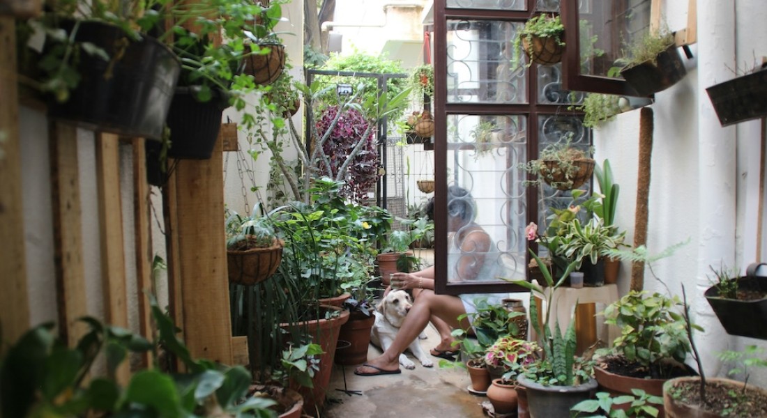 Een tuin met weinig onderhoud? Er zijn volop mogelijkheden