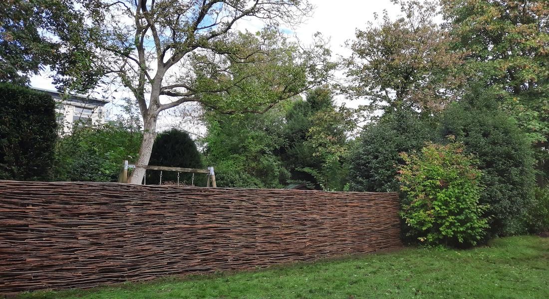 Haag of schutting? De mooiste natuurlijke afscheidingen