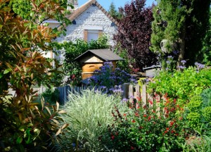 Van strak tot landelijk: deze planten passen bij elke tuinstijl
