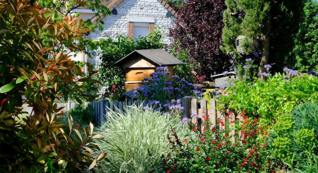 Van strak tot landelijk: deze planten passen bij elke tuinstijl