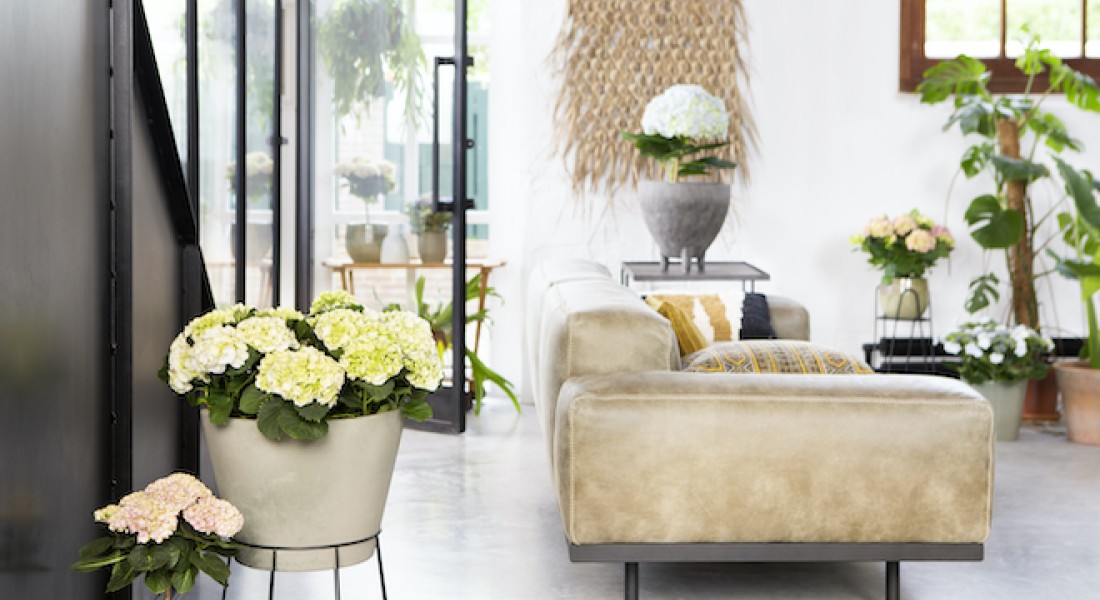 Trend: Plant bathing voor totale rust