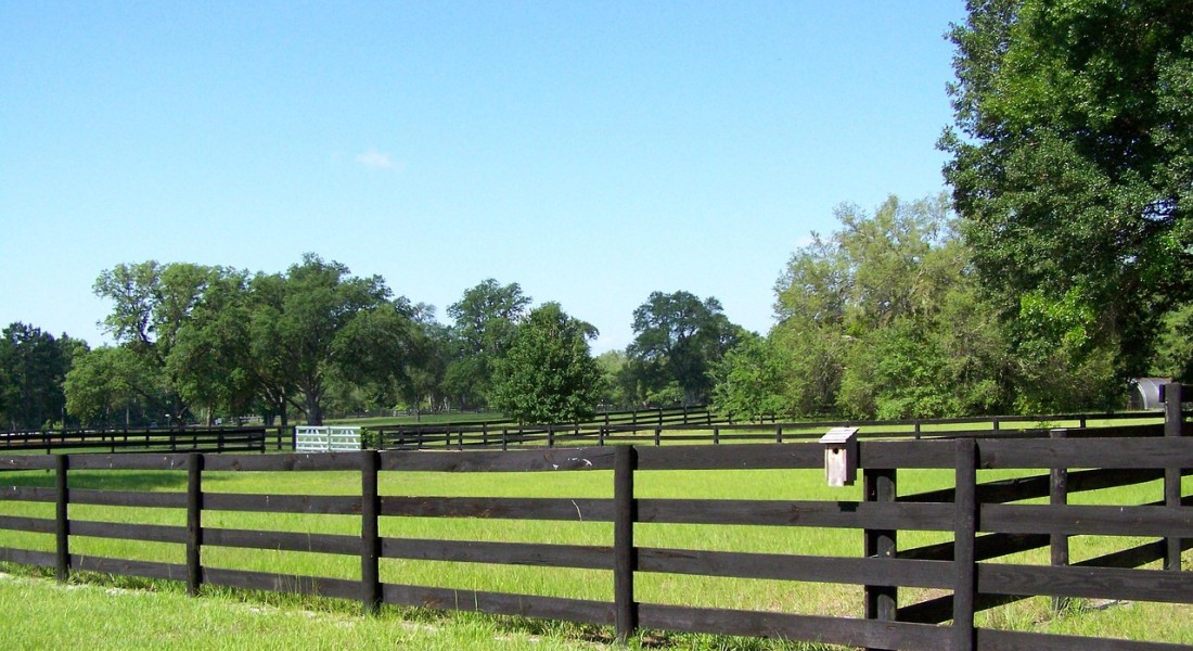 Schrikdraad of lint bij paarden? Kies op gedrag en zichtbaarheid