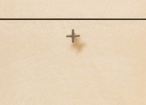 PH2017 by Tom Lenaerts | Dauby