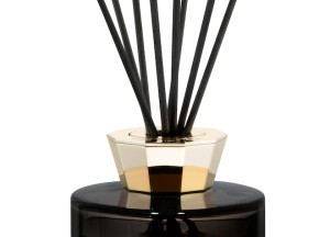 Huisparfum die ook gelijk de lucht reinigt - 