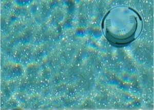 Vantage: zelfreinigend zwembad | Compass Pools