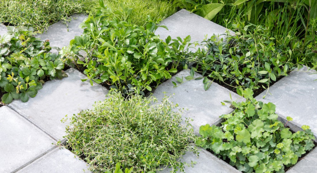 Tegel eruit, plant erin