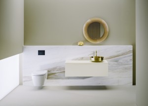 Ontdek de waskom in geborsteld roestvrij staal - 