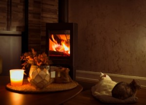 Een houtkachel of pelletkachel in huis: dit moet je weten over veilig stoken