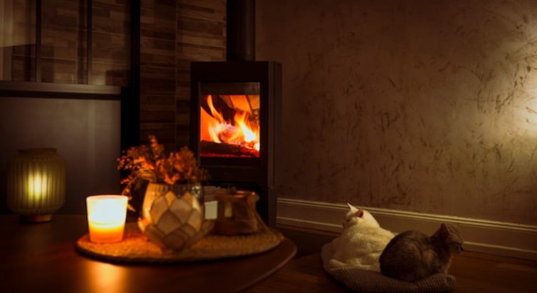 Een houtkachel of pelletkachel in huis: dit moet je weten over veilig stoken