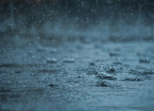 Onze tuinen moeten groener; heb jij al een regenton?