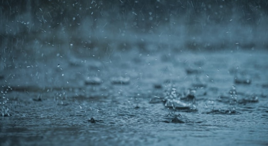 Onze tuinen moeten groener; heb jij al een regenton?