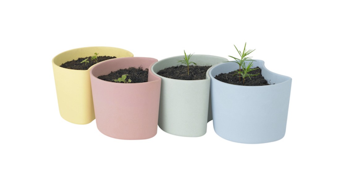 Positief project: de groei van een boom