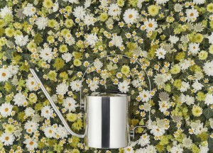 Klassieke gieter maakt comeback - 