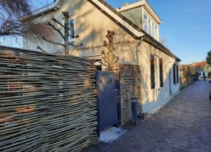 Een natuurlijke schutting die opgaat in je tuin - 