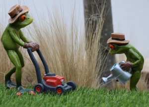 De beste accugrasmaaier voor jouw tuin