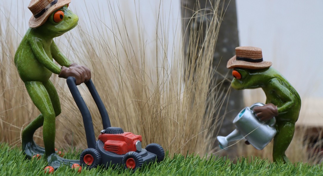 De beste accugrasmaaier voor jouw tuin