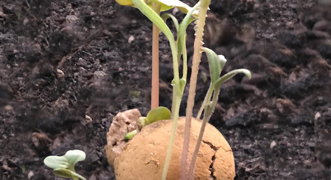 Help je mee de wereld mooier maken?