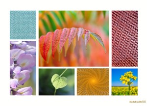 Moodboard Monday: 5 tips voor een funky interieur - 