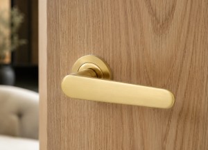Deurklink op rozet kiezen? Ontdek de voor- en nadelen - Deurklink24