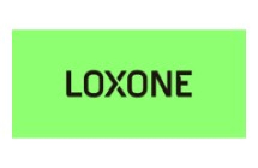 LOXONE Partners