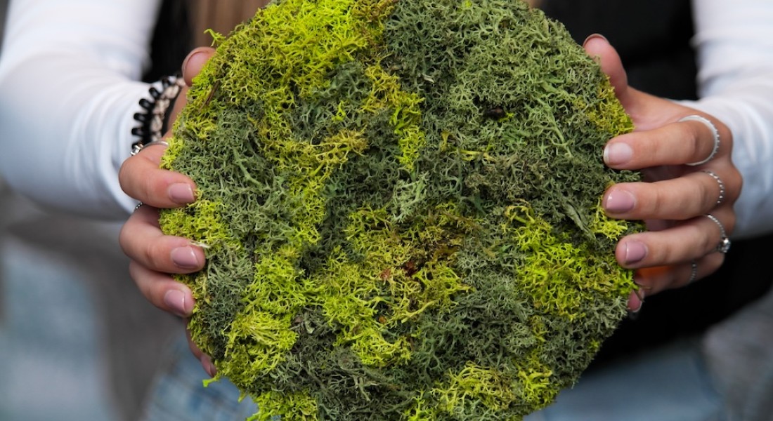 Waarom los mos perfect is voor creatieve wanddecoratie