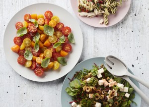 Oersterk bio-afbreekbaar servies - 