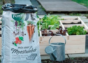Eetbare tuin: groenten, kruiden en fruit uit eigen grond