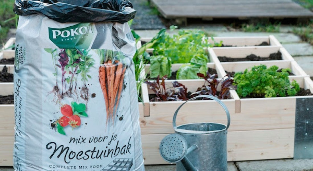Eetbare tuin: groenten, kruiden en fruit uit eigen grond