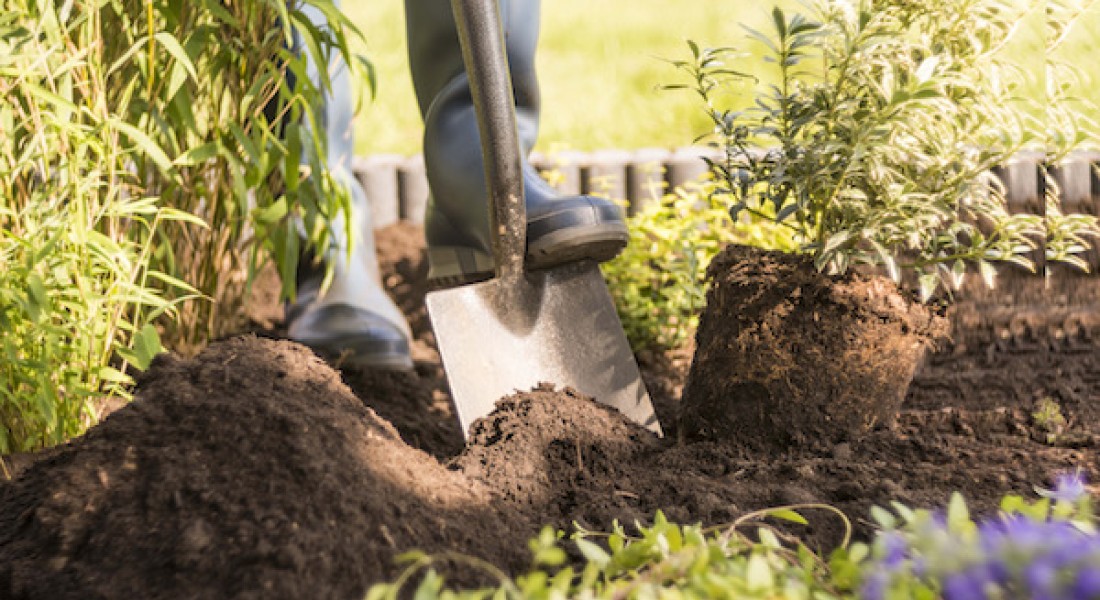 Duurzaam tuinieren: zo maak je je tuin milieuvriendelijker