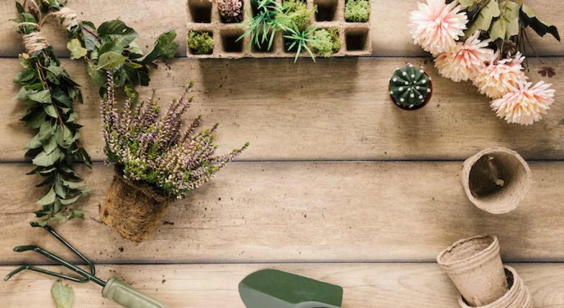 Planttherapie, zo ontspannend!