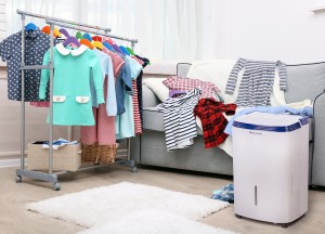 Een gezond binnenklimaat: zo voorkom je schimmel en muffe geurtjes - 