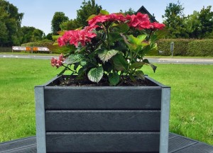 Makkelijk tuinieren: onderhoudsarme planten en slimme tips