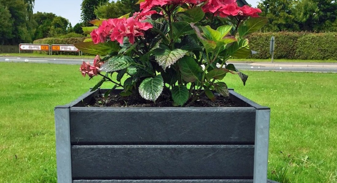Makkelijk tuinieren: onderhoudsarme planten en slimme tips